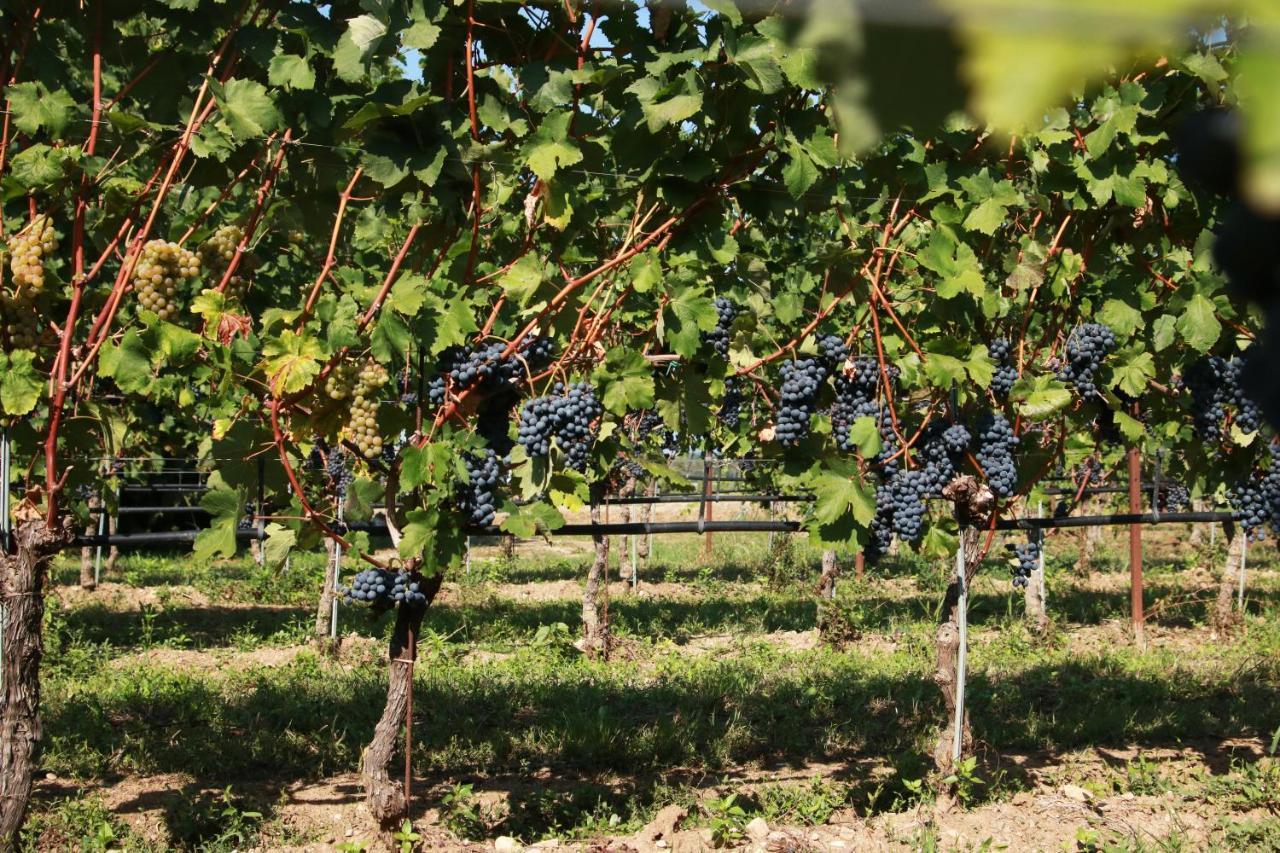 Agriturismo Armea Desenzano del Garda Zewnętrze zdjęcie