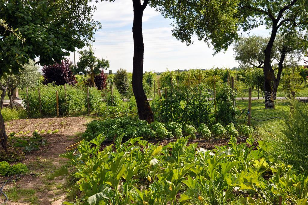 Agriturismo Armea Desenzano del Garda Zewnętrze zdjęcie